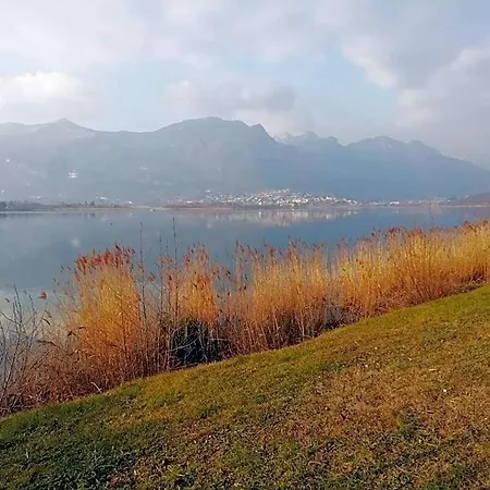 La Poesia Del Oggiono